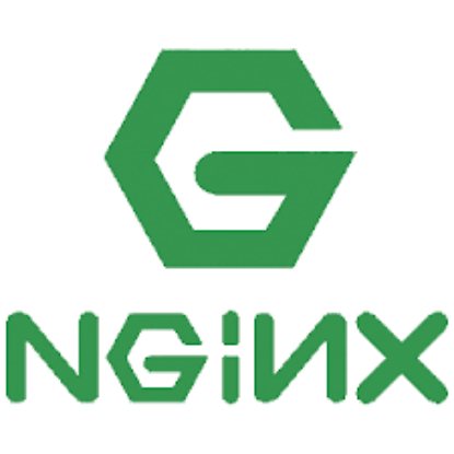 Picture of Nginx